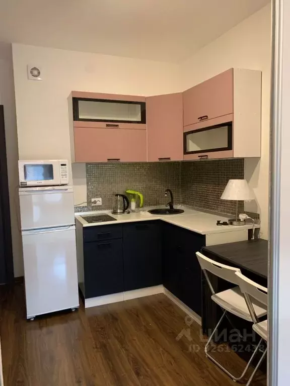 Студия Санкт-Петербург просп. Ветеранов, 175 (24.6 м) - Фото 1