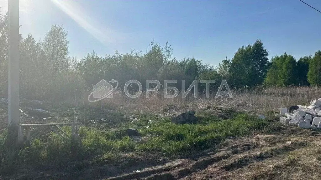 Участок в Тюменская область, Тюмень СОСН Изыскатель тер., ул. Вишневая ... - Фото 2