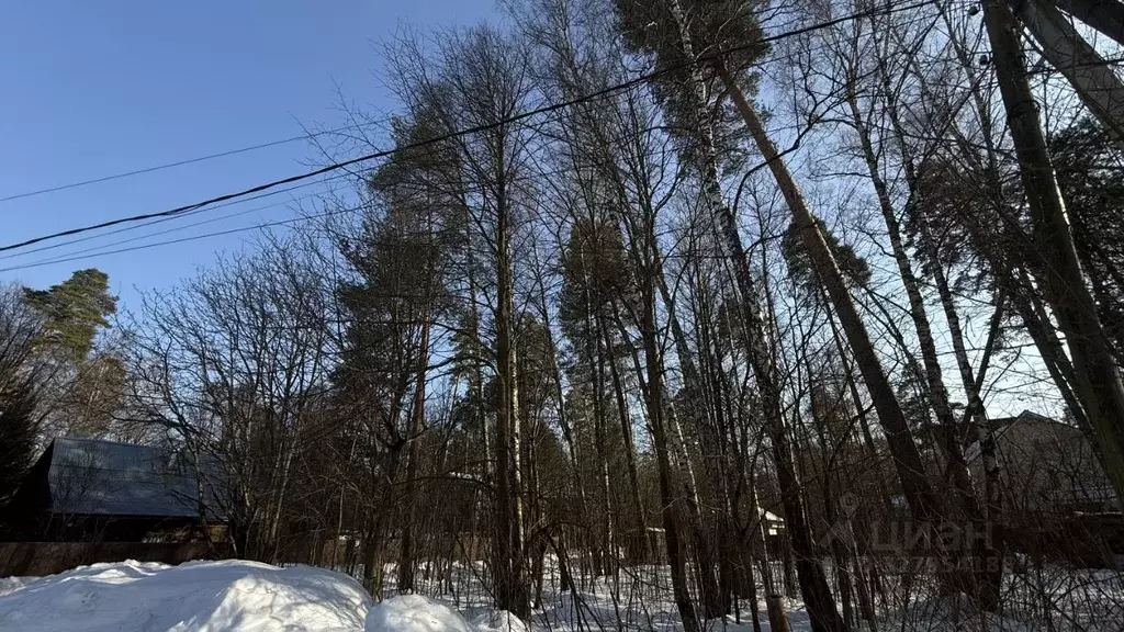 Участок в Московская область, Пушкино Заветы Ильича мкр, Дачная ул. ... - Фото 2