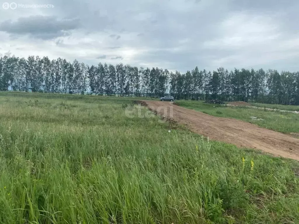 Участок в Кармаскалинский район, Кабаковский сельсовет, село Сихонкино ... - Фото 2