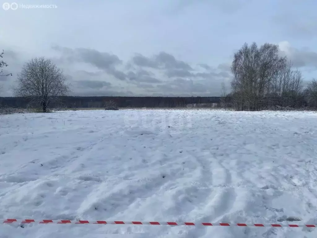 Участок в Ярославский муниципальный округ, деревня Худково (27 м) - Фото 2