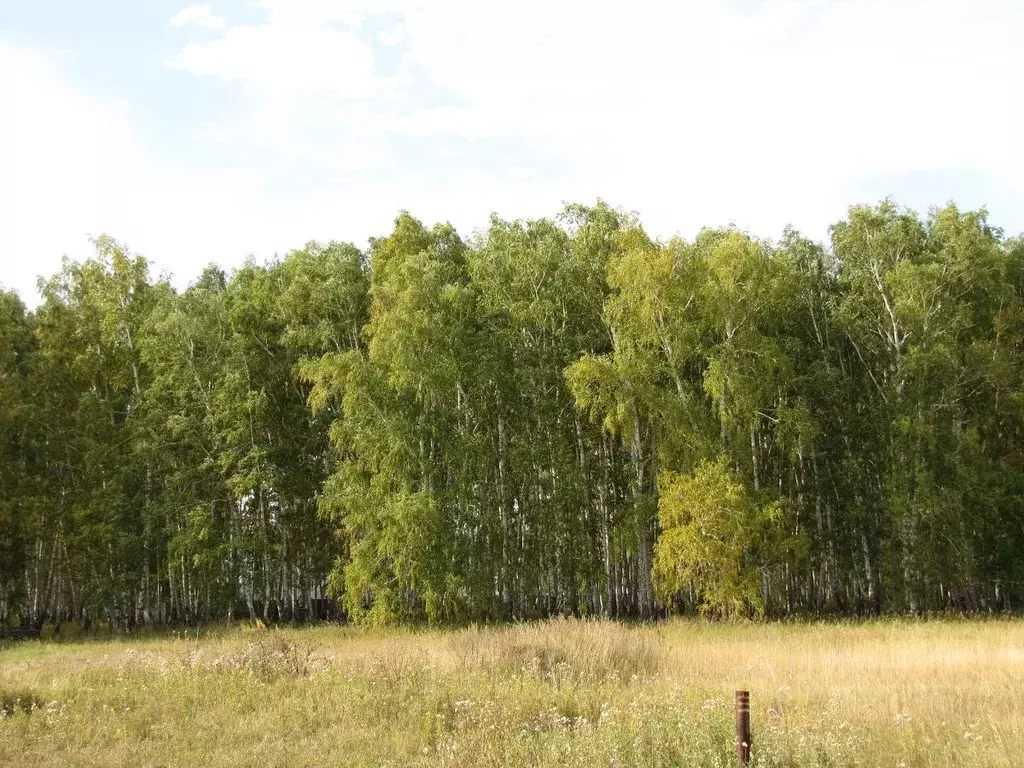 Участок в Омская область, Омский район, Пушкинское с/пос, д. ... - Фото 1