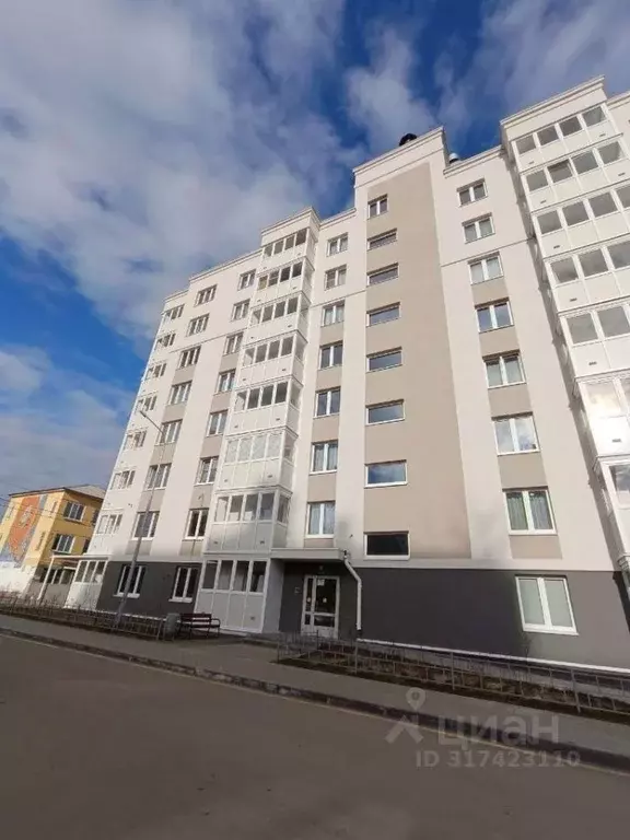 1-к кв. Нижегородская область, Бор ул. Максимова, 1 (46.0 м) - Фото 0
