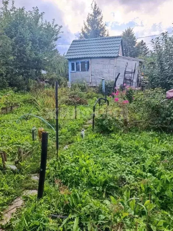 Участок в Новосибирская область, Новосибирск Новая Сибирь СНТ,  (7.0 ... - Фото 1