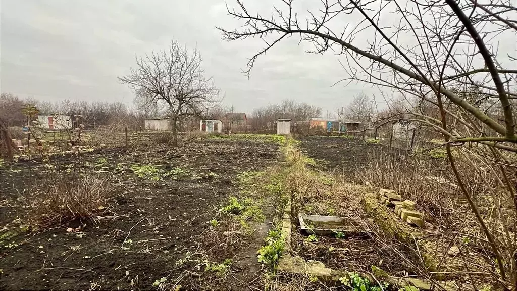 Участок в Липецкая область, Грязи Заря СНТ,  (5.5 сот.) - Фото 2