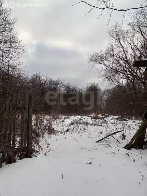 Участок в деревня Малышево, Полевая улица (25 м) - Фото 1