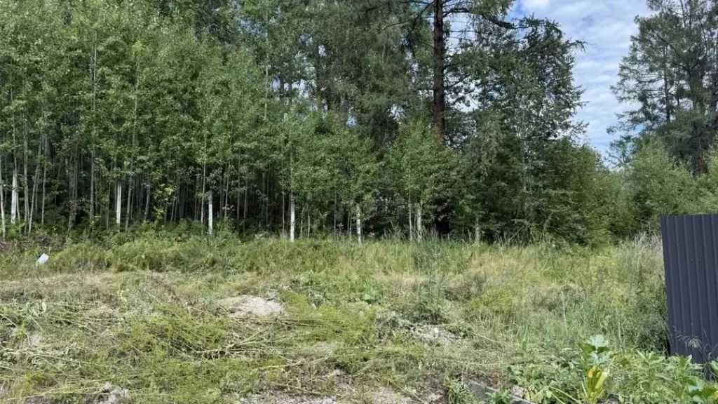 Участок в Иркутская область, Иркутский муниципальный округ, д. ... - Фото 0