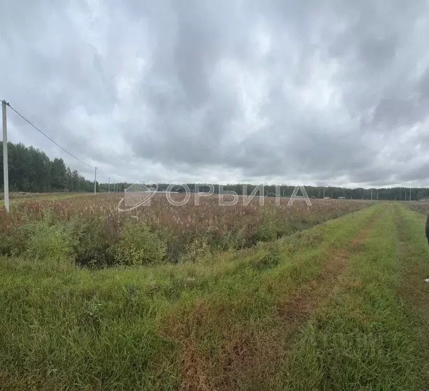 Участок в Тюменская область, Тюменский район, с. Кулига, Кулига-2 мкр  ... - Фото 0