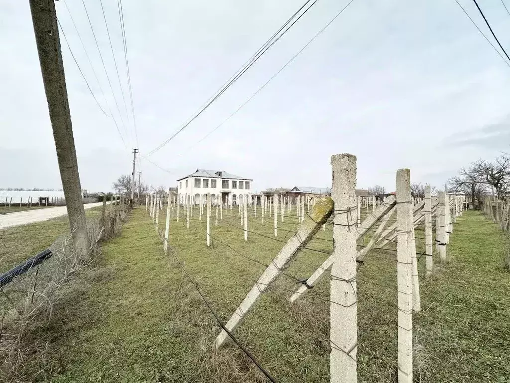 Участок в Крым, Джанкойский район, Рощинское с/пос, с. Рощино ул. ... - Фото 1