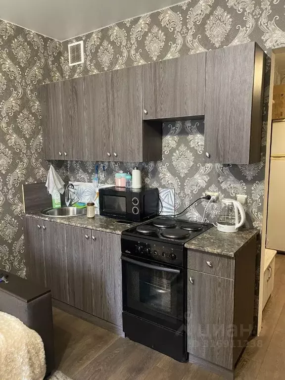 Студия Санкт-Петербург пос. Шушары, Ленсоветовский тер., 31 (23.8 м) - Фото 1