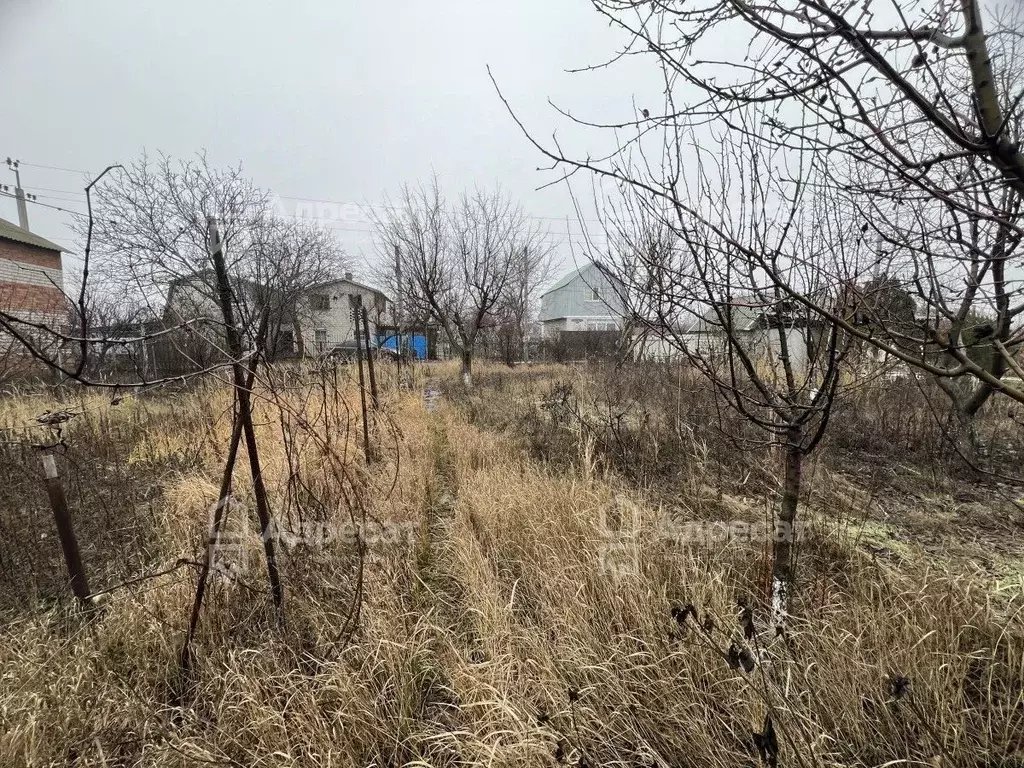 Участок в Волгоградская область, Светлоярский район, ... - Фото 1