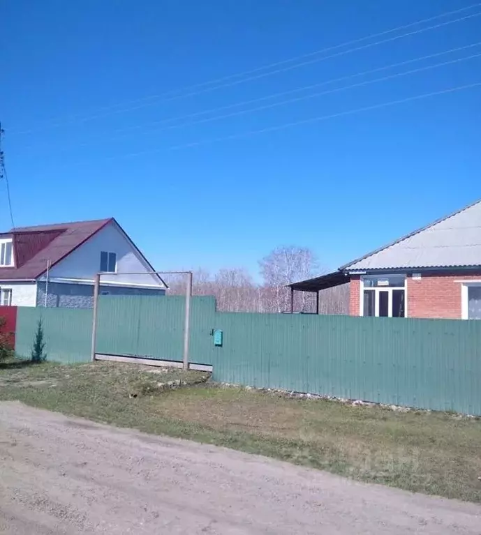 Дом в Омская область, Омский район, Петровское с/пос, д. Бородинка ул. ... - Фото 2