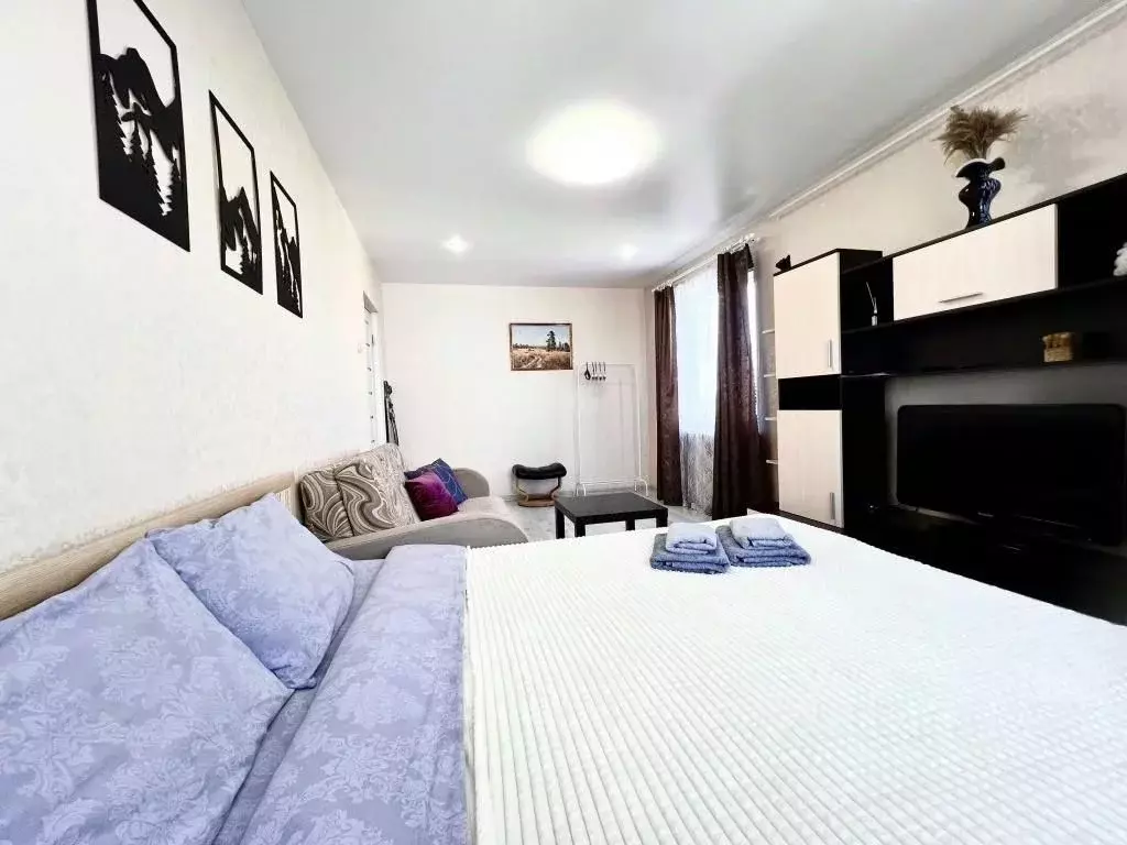 1-к кв. Мурманская область, Мурманск ул. Старостина, 33 (33.0 м) - Фото 2