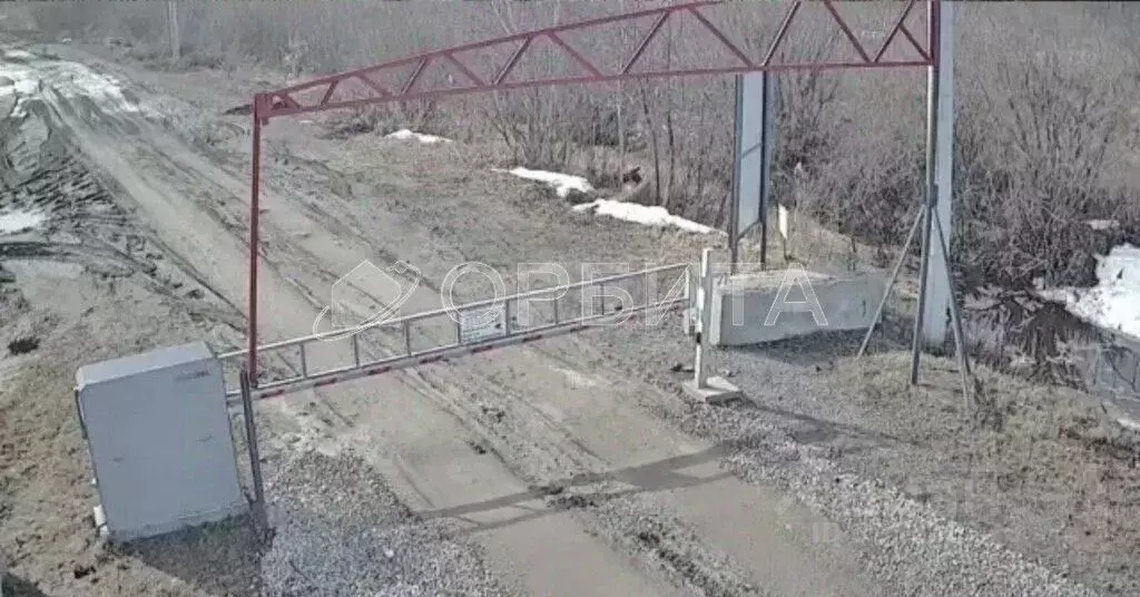 Участок в Тюменская область, Тюмень Большое Царево-1 СНТ,  (10.0 сот.) - Фото 1