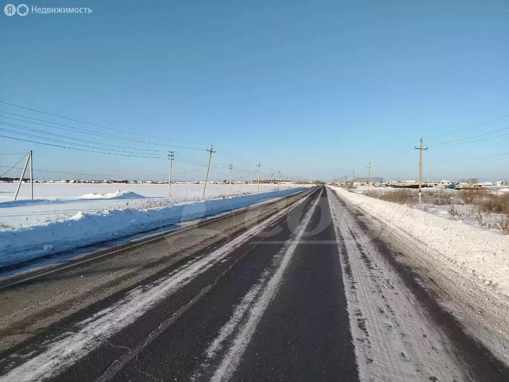 Участок в Тюменский муниципальный округ, село Чикча (10 м) - Фото 1
