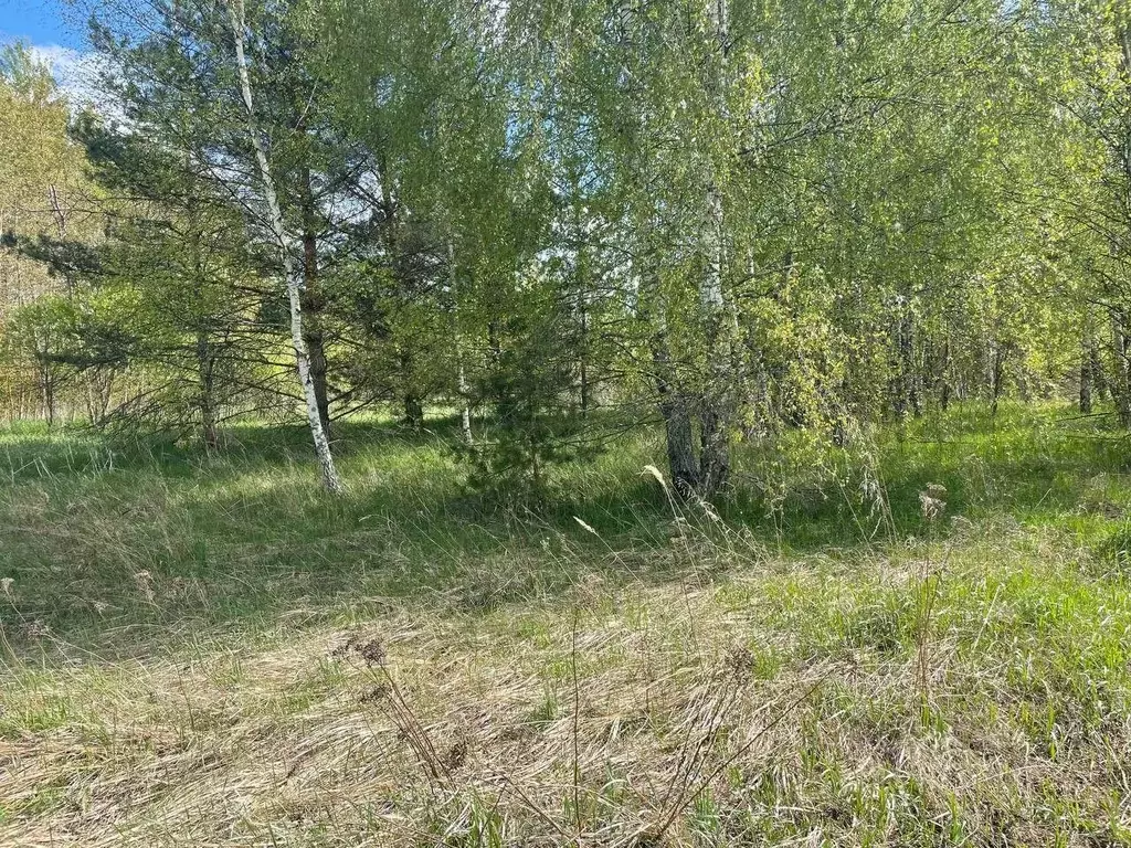 Участок в Московская область, Воскресенск городской округ, д. ... - Фото 0