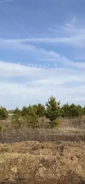 Участок 6,5 сот. (ИЖС) - Фото 1