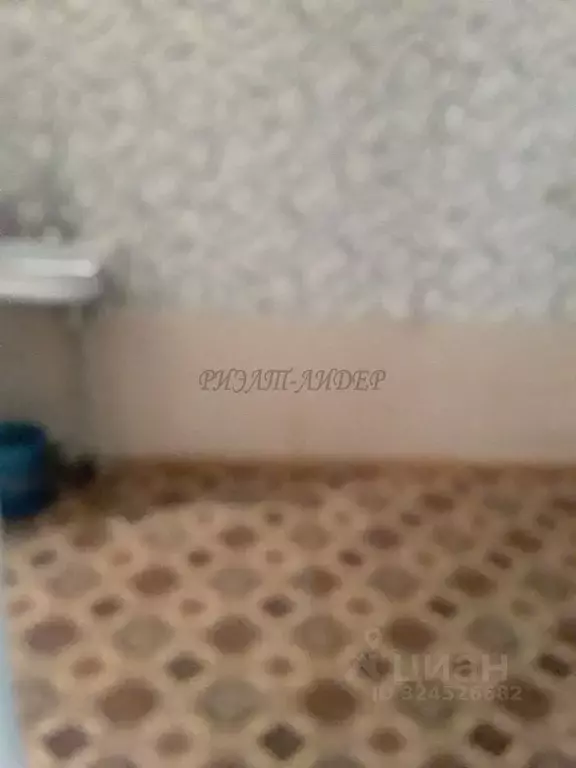 Студия Алтай, Горно-Алтайск Коммунистический просп., 125 (28.0 м) - Фото 2