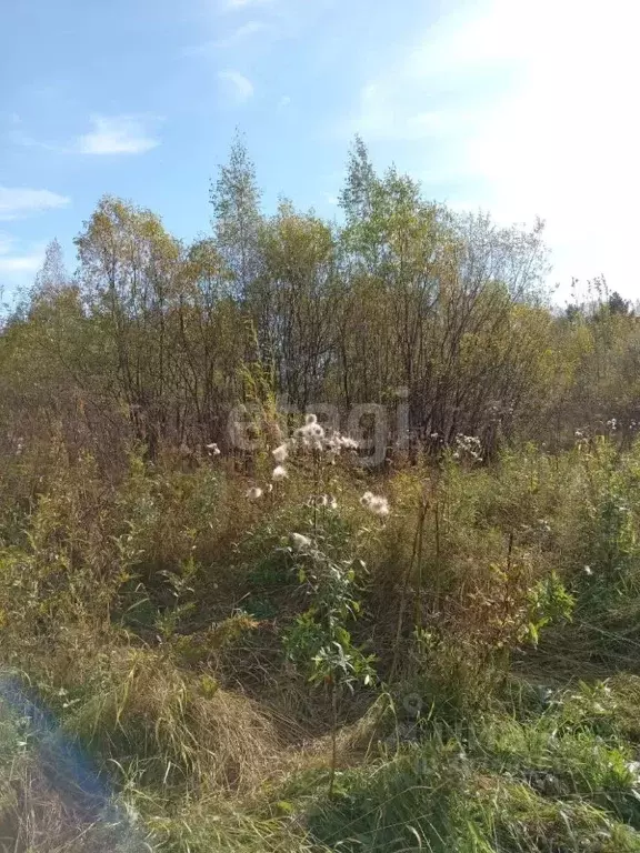 Участок в Свердловская область, Горноуральский городской округ, с. ... - Фото 1