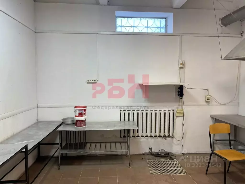 Помещение свободного назначения в Пензенская область, Пензенский ... - Фото 2