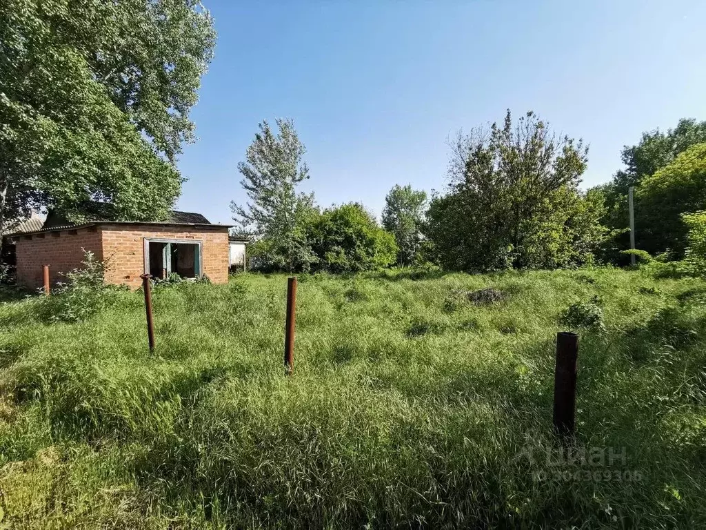 Участок в Ростовская область, Азовский район, Рогожкино хут. Степная ... - Фото 2