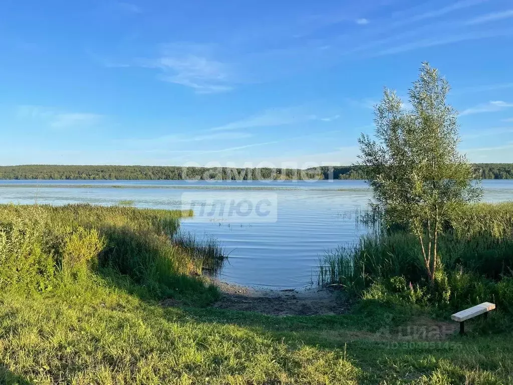 Участок в Костромская область, Красное-на-Волге городское поселение, ... - Фото 0