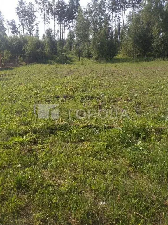 Участок в Барышевский сельсовет, садоводческое некоммерческое ... - Фото 2