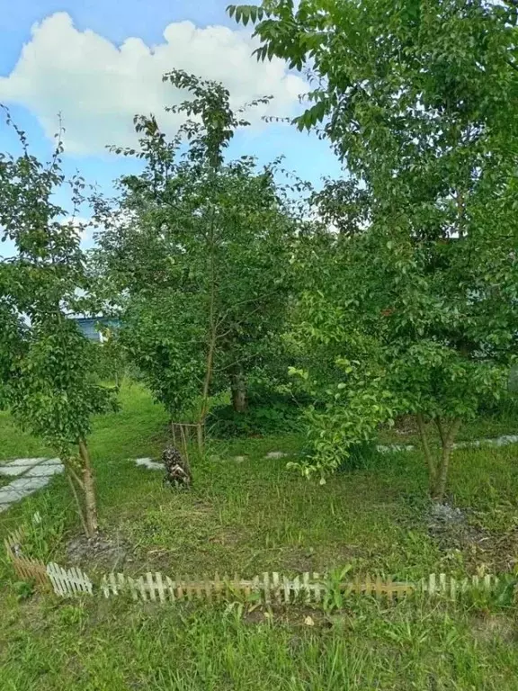 Дом в Московская область, Егорьевск муниципальный округ, д. Алферово  ... - Фото 2