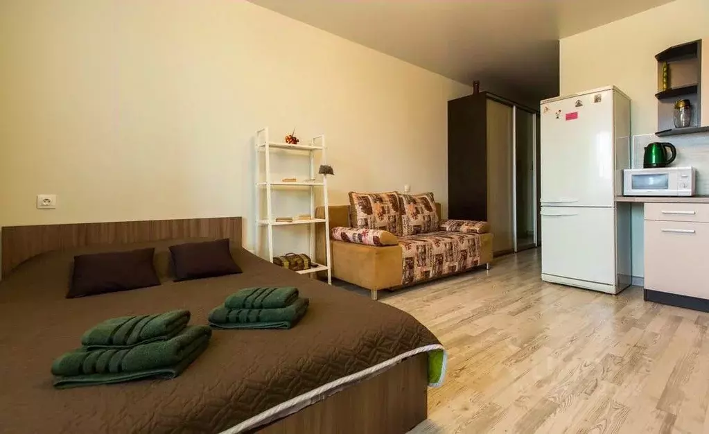 1-к кв. Московская область, Ногинск Богородский городской округ, ул. ... - Фото 1