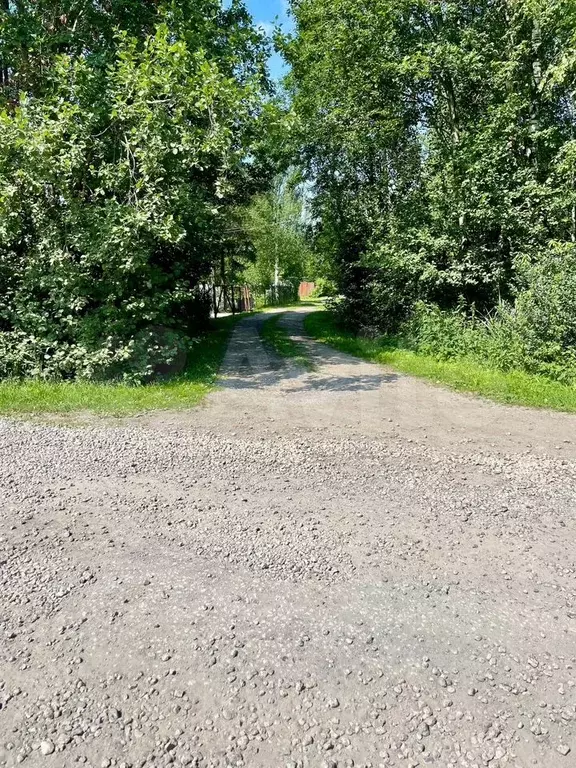 Участок 5 сот. (СНТ, ДНП) - Фото 0