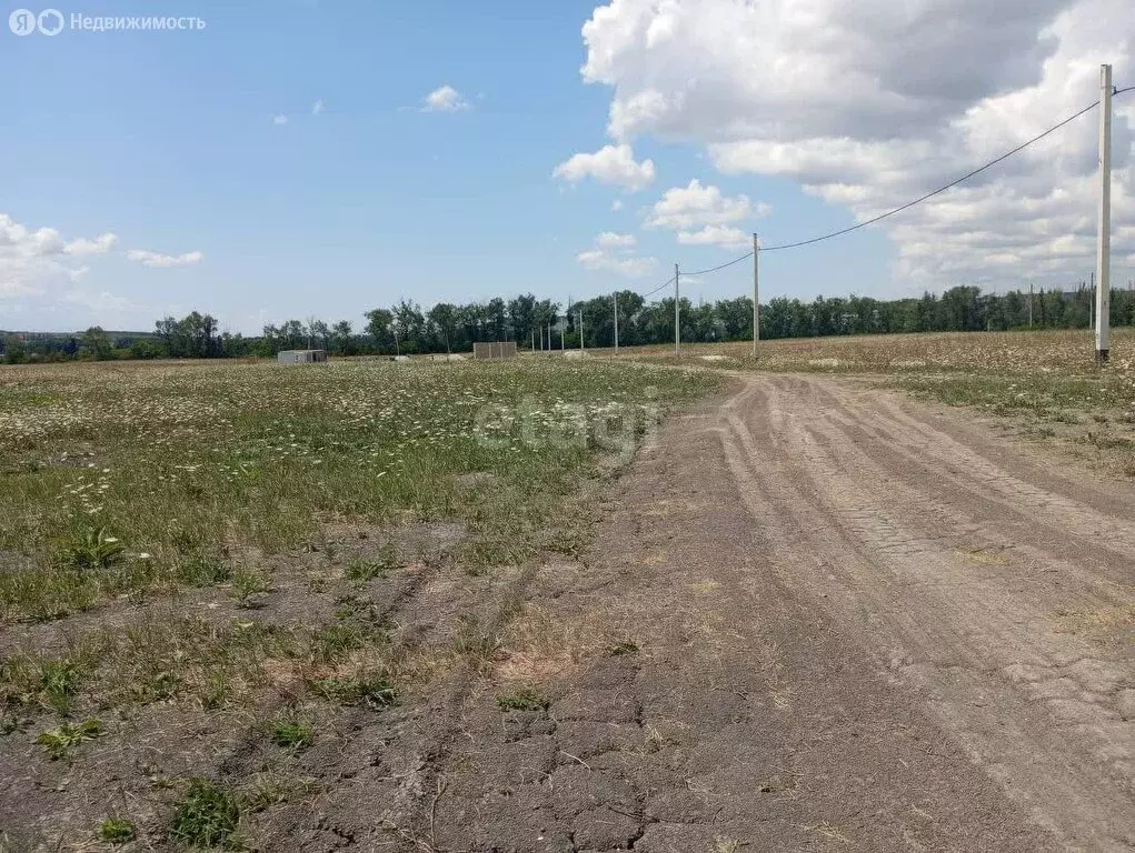 Участок в Краснодарский край, городской округ Новороссийск, хутор ... - Фото 1