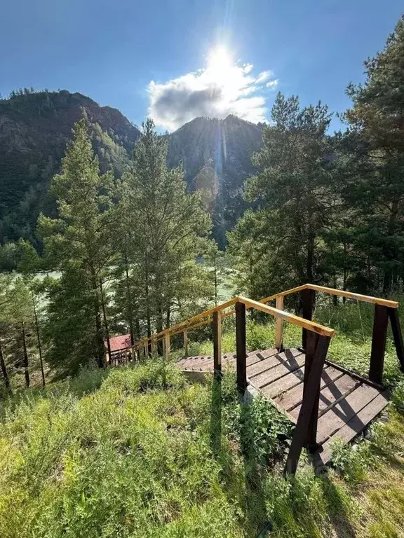 Участок в Алтай, Чемальский район, Чемальское с/пос  (7.5 сот.) - Фото 2