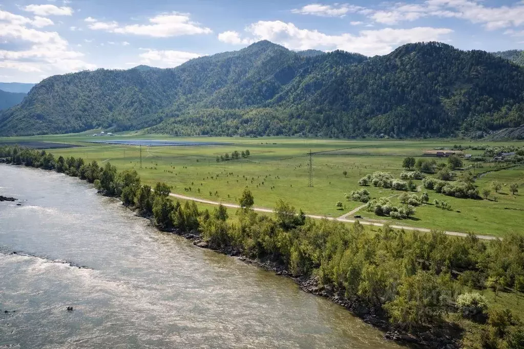 Участок в Алтай, Чемальский район, Аносинское с/пос  (2.0 сот.) - Фото 2