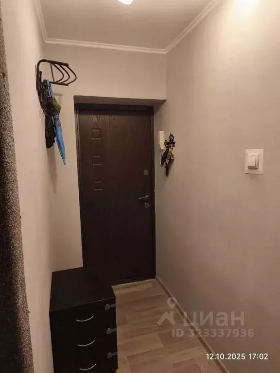 1-к кв. Ростовская область, Таганрог ул. Чехова (30.0 м) - Фото 1