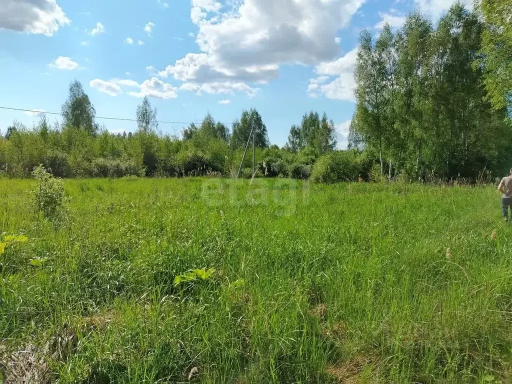 Участок в Ярославская область, Некрасовский муниципальный округ, ... - Фото 1