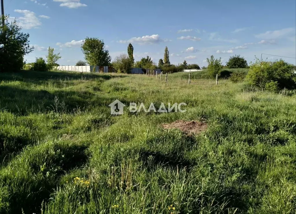 Участок в Белгородская область, Белгородский муниципальный округ, с. ... - Фото 2