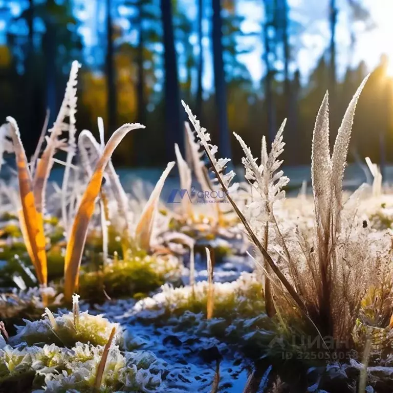 Участок в Ярославская область, Гаврилов-Ямский муниципальный округ, ... - Фото 1