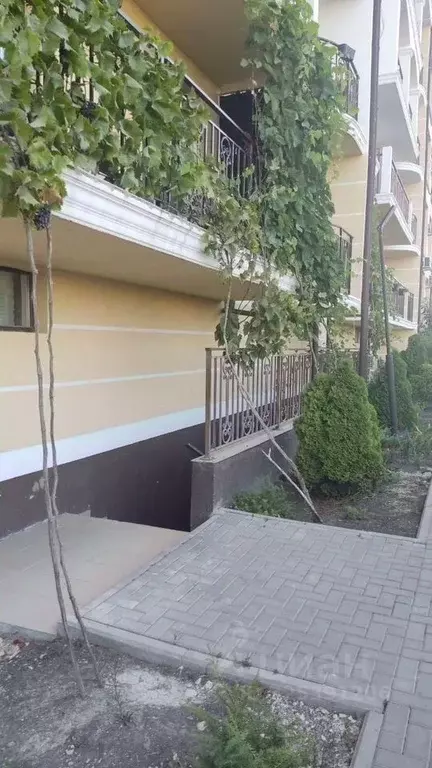 Помещение свободного назначения в Краснодарский край, Новороссийск ... - Фото 2