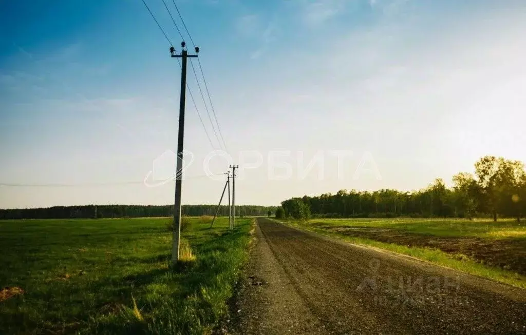 Участок в Тюменская область, Тюменский район, Дачи Хюгге ДНТ ул. ... - Фото 1