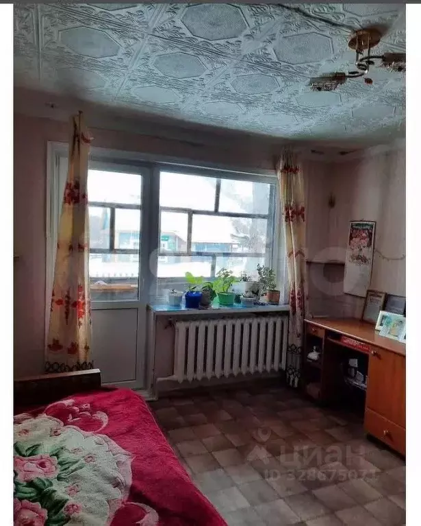 2-к кв. Камчатский край, Быстринский муниципальный округ, с. Анавгай ... - Фото 1