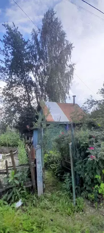 Дом в Пермский край, Пермь №1 СНТ, 47 (30 м) - Фото 2