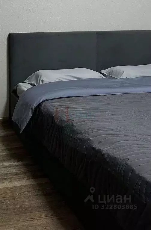 Студия Новосибирская область, Новосибирск ул. Державина, 50 (24.1 м) - Фото 2