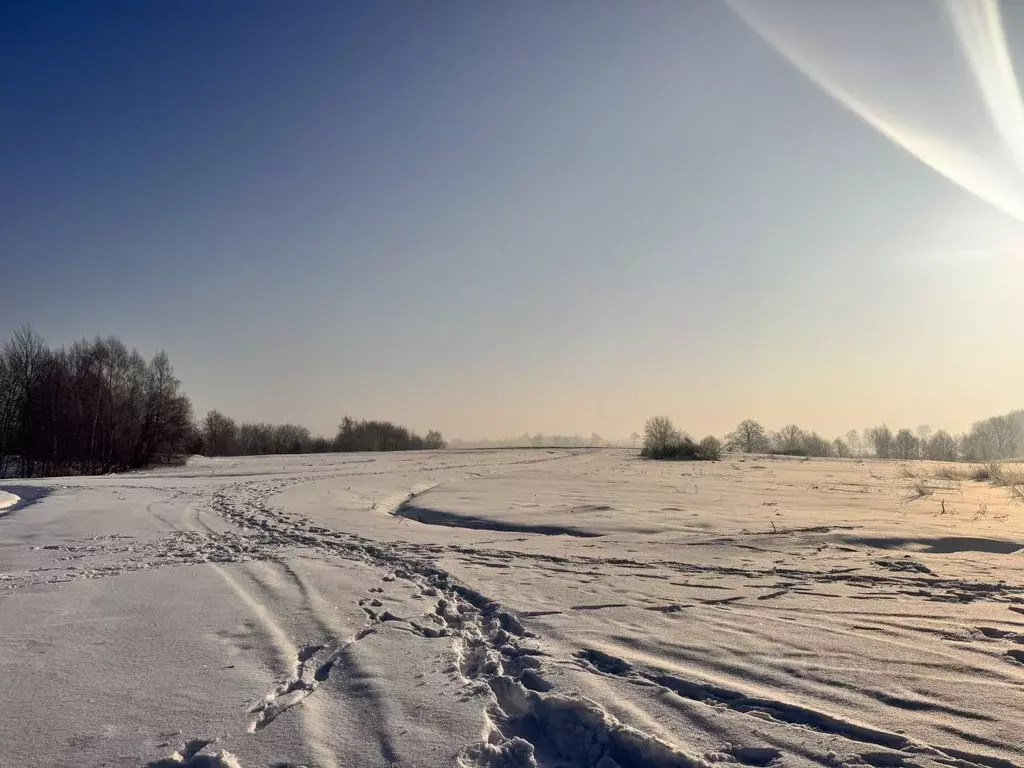 Участок в Калининградская область, Гурьевский муниципальный округ, ... - Фото 1