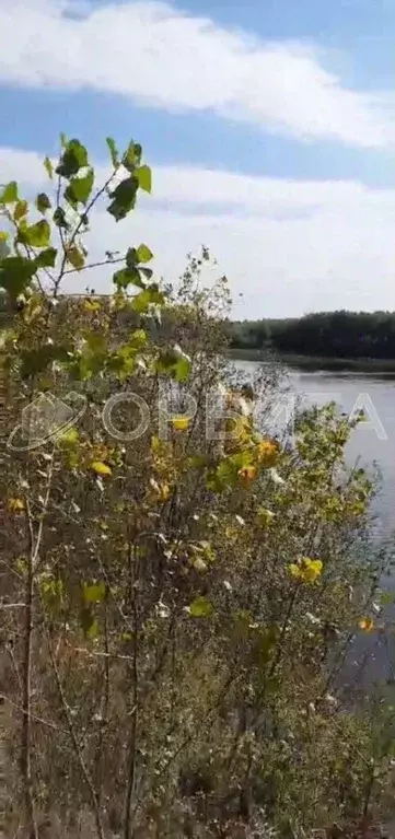 Участок в Тюменская область, Тюменский район, с. Борки  (72.0 сот.) - Фото 1