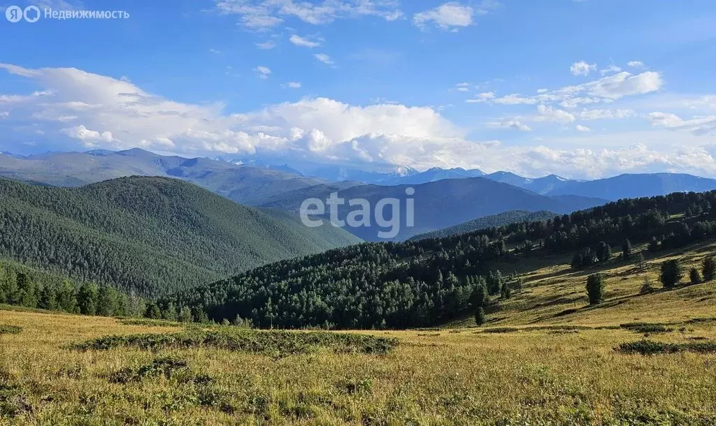 Участок в Усть-Коксинский район, село Тюнгур (1170 м) - Фото 0