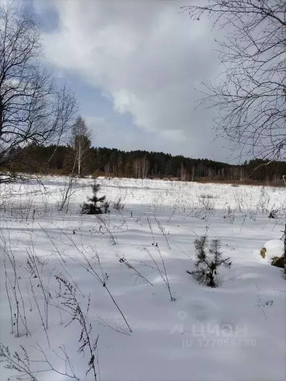 Участок в Иркутская область, Иркутский муниципальный округ, Иркут ... - Фото 0