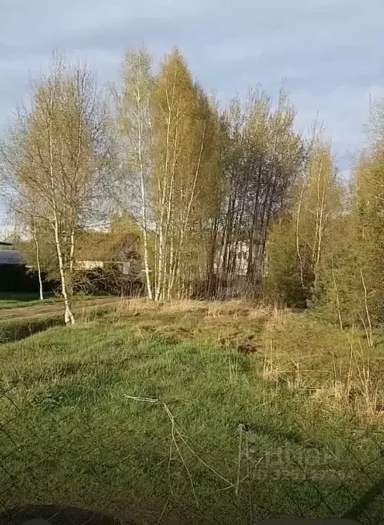 Участок в Владимирская область, Киржачский муниципальный округ, д. ... - Фото 1