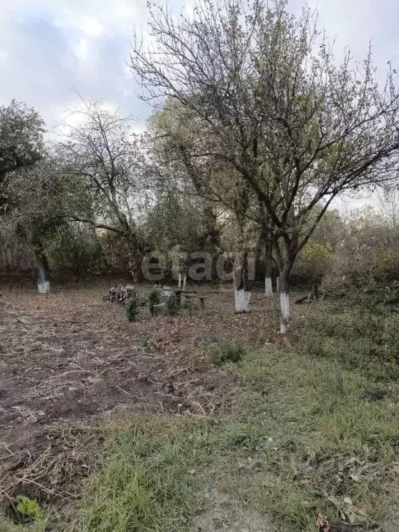 Участок в Белгородская область, Новый Оскол Заречная ул. (41.0 сот.) - Фото 0