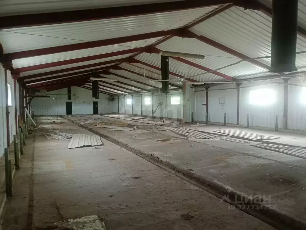 Склад в Саратовская область, с. Широкий Буерак ул. Рабочая, 25 (1068 ... - Фото 2