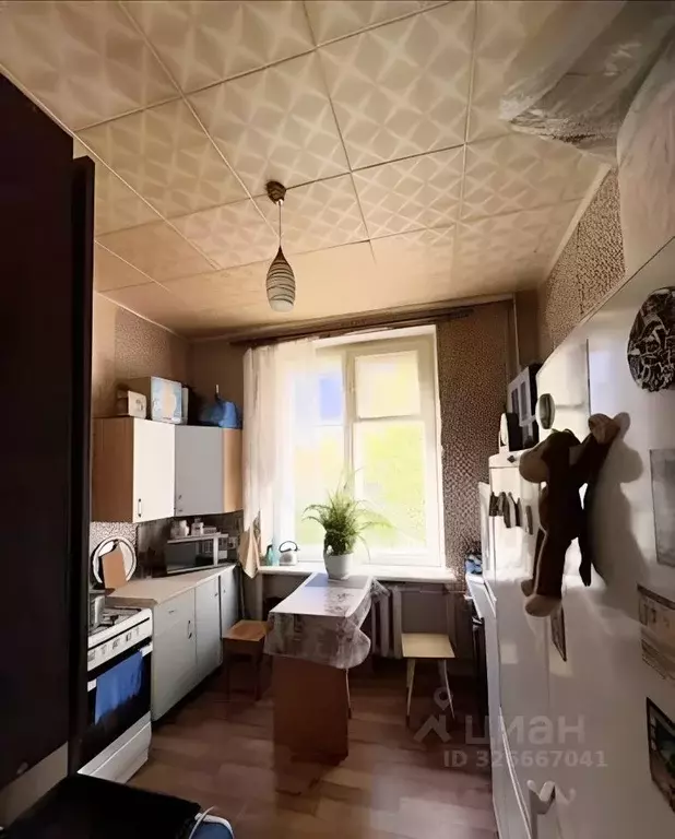 Комната Санкт-Петербург ул. Бабушкина, 24 (19.3 м) - Фото 2